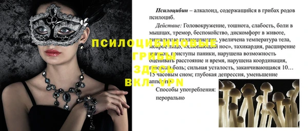 apvp Абаза